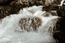 Водопад Текелю (2)