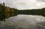 Кувшинки на озере