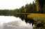 Кувшинки на озере (1)